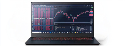 Laptop Showing Financial Data